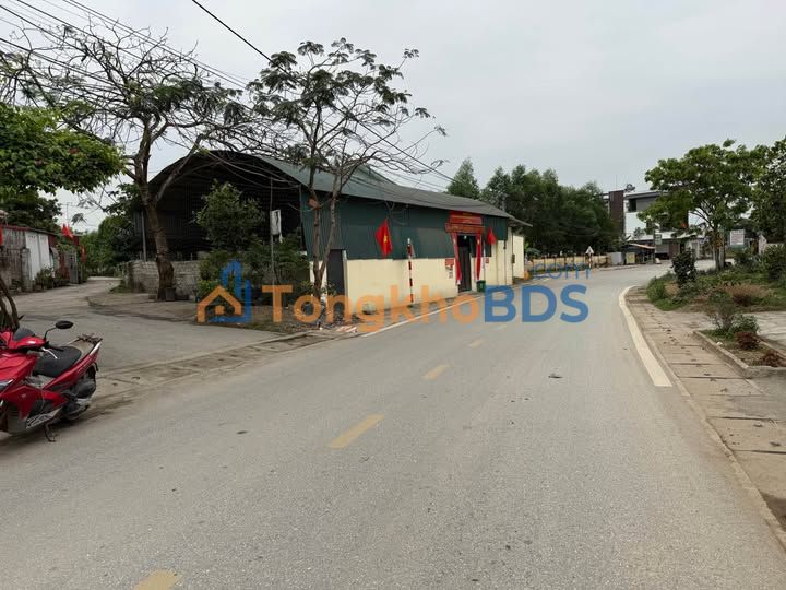 Đất nền ĐT302 Tam Đảo 100m² giá 1 tỷ - Đường to ô tô