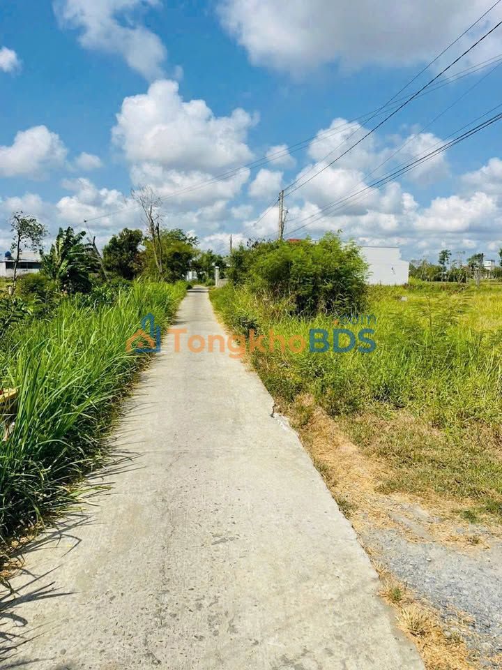 Đất nền Gò Tre Long Thuận 352m² 620 triệu - Sổ đỏ chính chủ