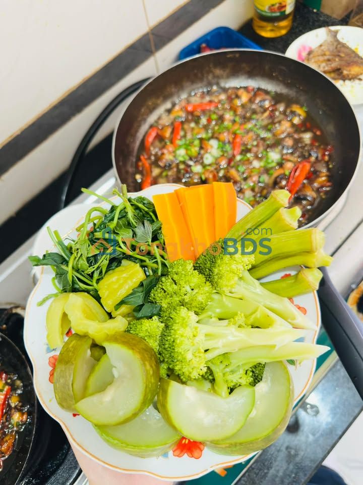 Đất nền Thái Mỹ Củ Chi 700m² 1.35 tỷ - Sổ đỏ chính chủ