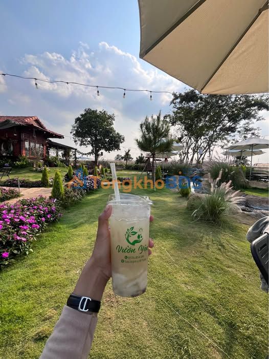 Đất nền Tu Tra Đơn Dương 275m² 835-855 triệu - Sổ hồng riêng