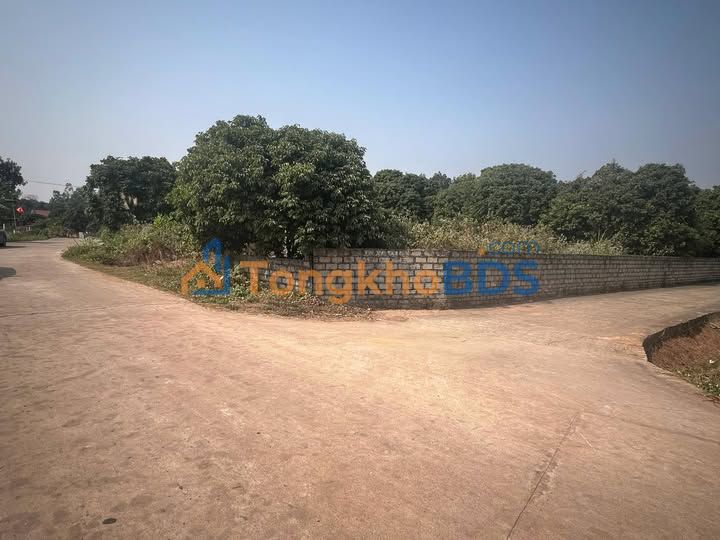 Đất nền Tân Thanh Lạng Giang 1600m² 3 tỷ - Đường ô tô lớn