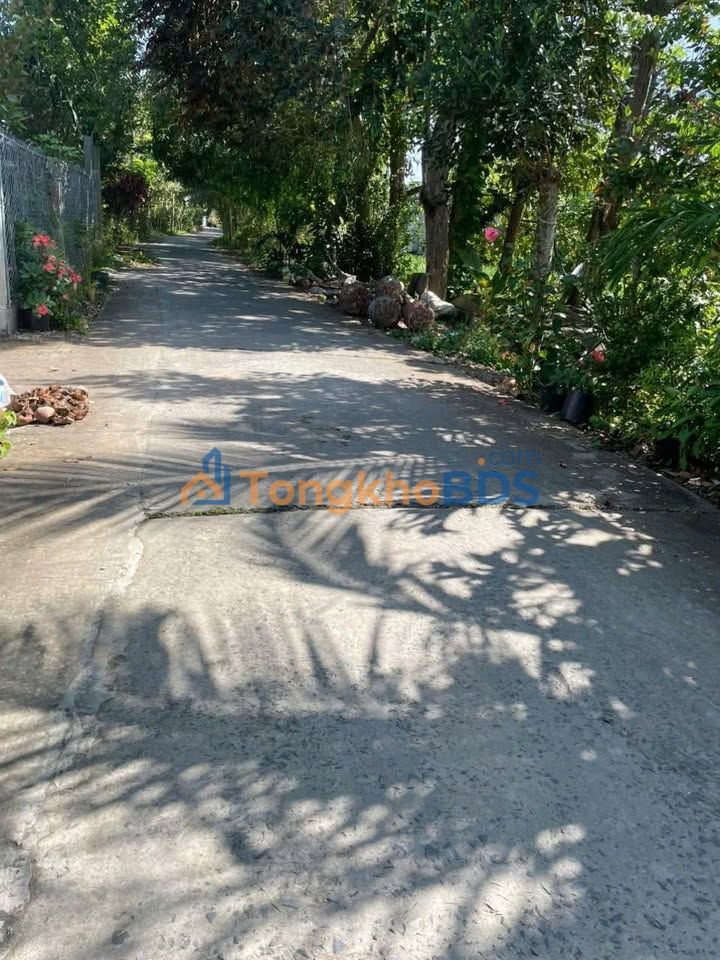 Đất nền Sa Đéc 732m² 950 triệu - Ô tô vào tận