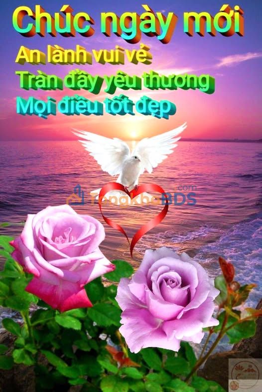 Đất Bình Đa Biên Hòa 90m² dưới 5 tỷ - Sổ đỏ chính chủ