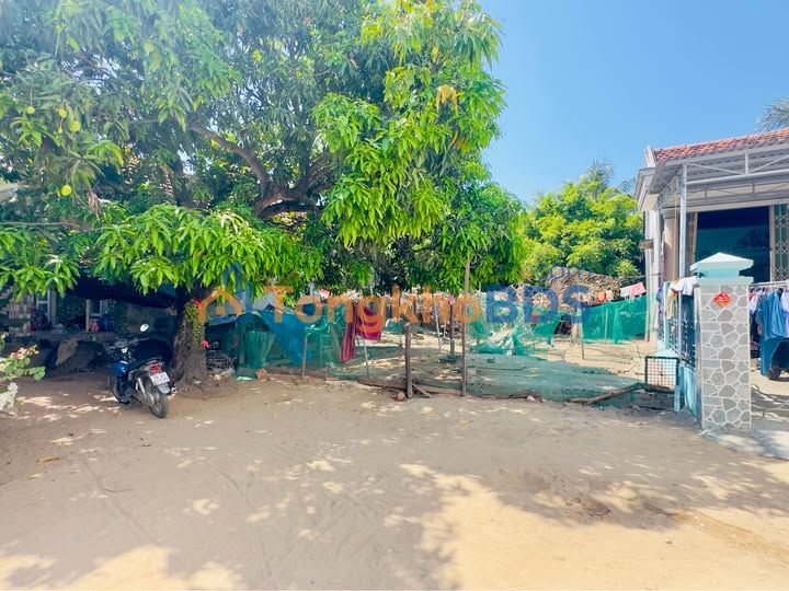 Đất nền Vạn Thạnh Nha Trang 257m² 1.6 tỷ - Sổ đỏ chính chủ