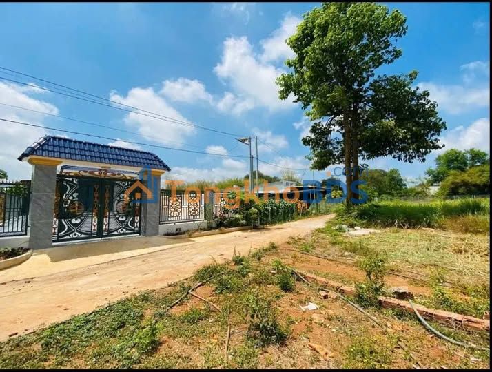 Đất nền Đất Đỏ 147m² 900 triệu - Sổ đỏ chính chủ