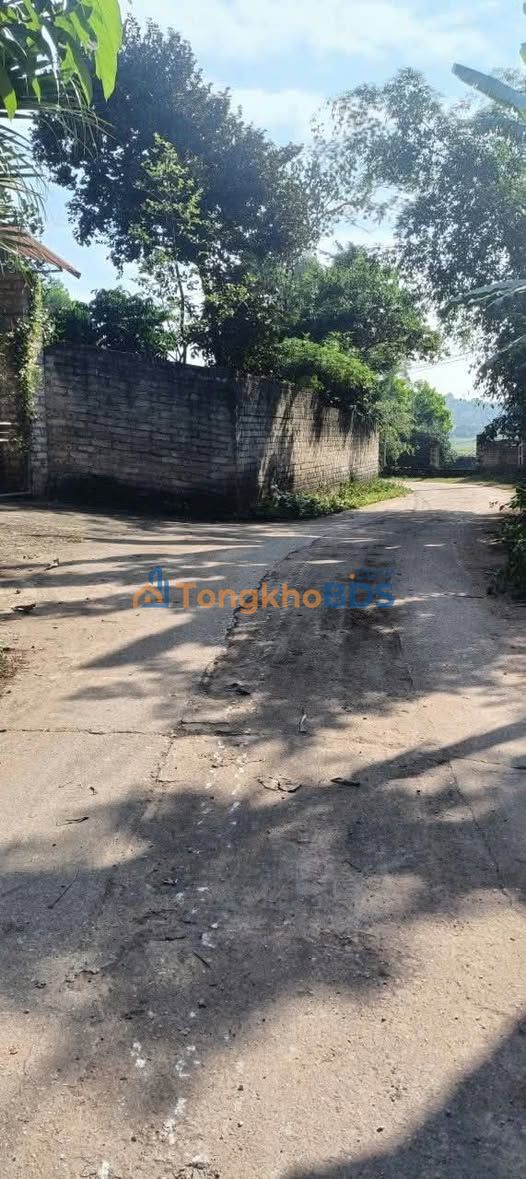 Đất nền Tân Trung Tân Yên 179m² - Sổ đỏ chính chủ