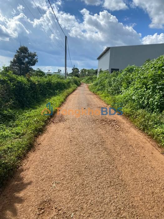 Đất ở Hội Phú Pleiku 920m² 1.2 tỷ - Thổ cư 100% cặp hẻm