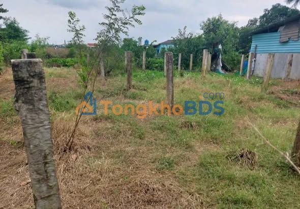 Đất vườn Bình Lãng 1339m² 1.5 tỷ - Sổ đỏ chính chủ