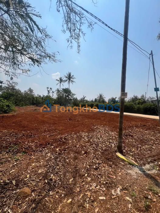 Dat nen Buon Ma Thuot 100m2 799 trieu - So do chinh chu