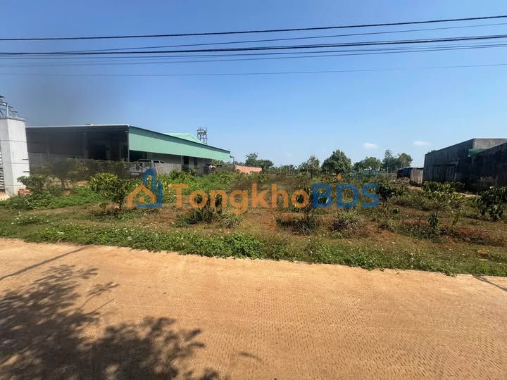 Đất nền Trương Định Plei Ku 115.5 tỷ - Sổ đỏ chính chủ