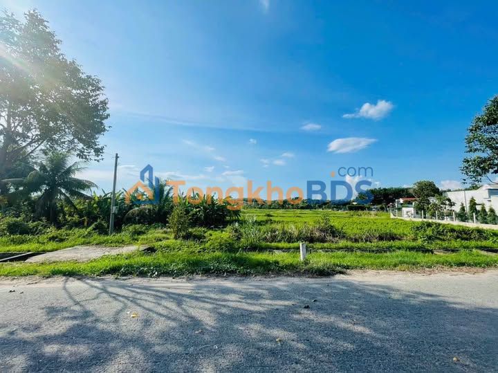 Đất Thái Mỹ Củ Chi 4247m² giá 7,22 tỷ - Sổ đỏ chính chủ