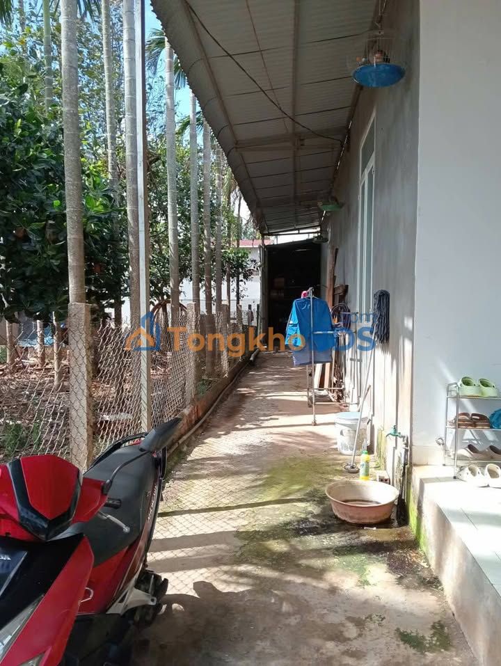 Nhà riêng Tân An 210m² 1.95 tỷ - Giá tốt hiếm có