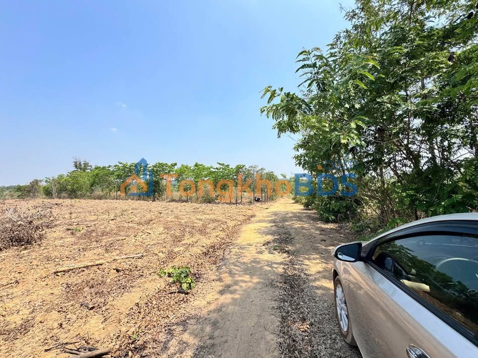 Đất nền Ea Nuôl 1,6ha 2,6 tỷ – Đường to ô tô