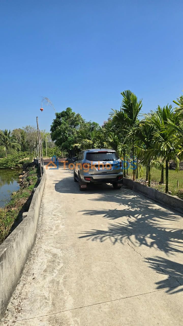 Farm Ea Kao 5.6ha 54.44 tỷ - Đất vườn đầu tư dài hạn