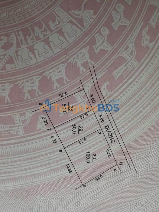 Đất nền Thôn Cầu Ngăm Sóc Sơn 50m² giá 1.2 tỷ - Sổ đỏ chính chủ