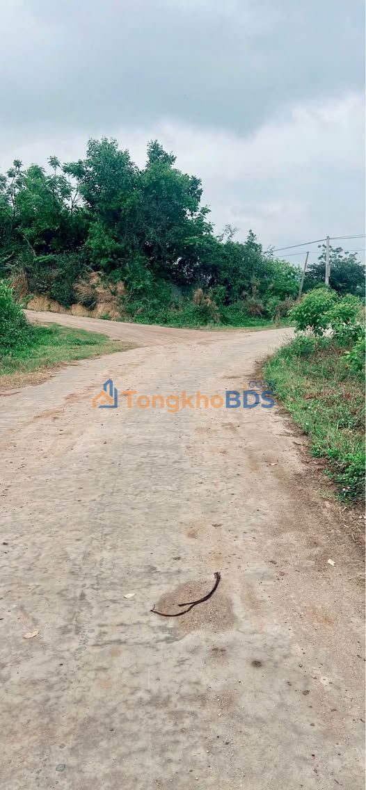 Farm Đông Triều 8.000m² giá 5 tỷ - Nghỉ dưỡng lý tưởng