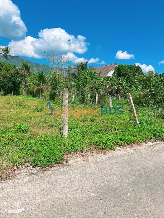 Đất nền Suối Cát Cam Lâm 492m² 2.1 tỷ - Đường ô tô