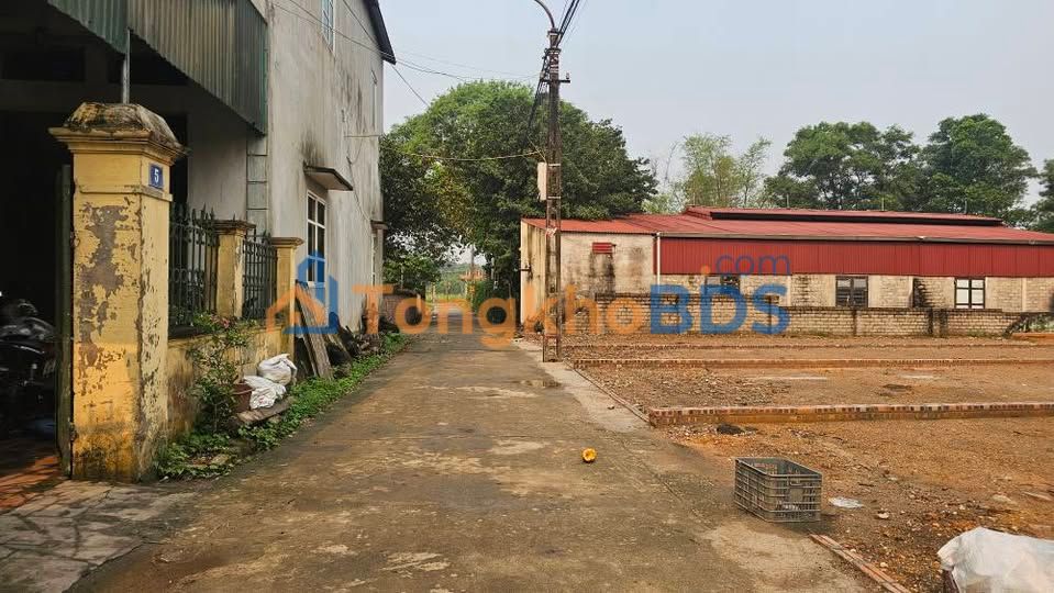 Đất nền TL416 Sơn Đồng 100m² thỏa thuận - Đường to ô tô