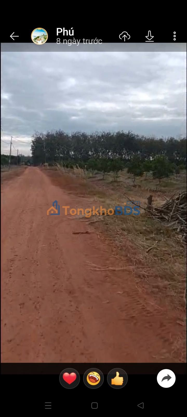 Đất nền Tân Đông Tân Châu 40.000m² 4 tỷ - Sổ đỏ chính chủ