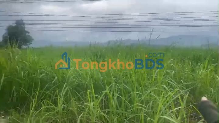 Đất nền Tây Thuận Tây Sơn 165m² 700 triệu - Sổ đỏ chính chủ