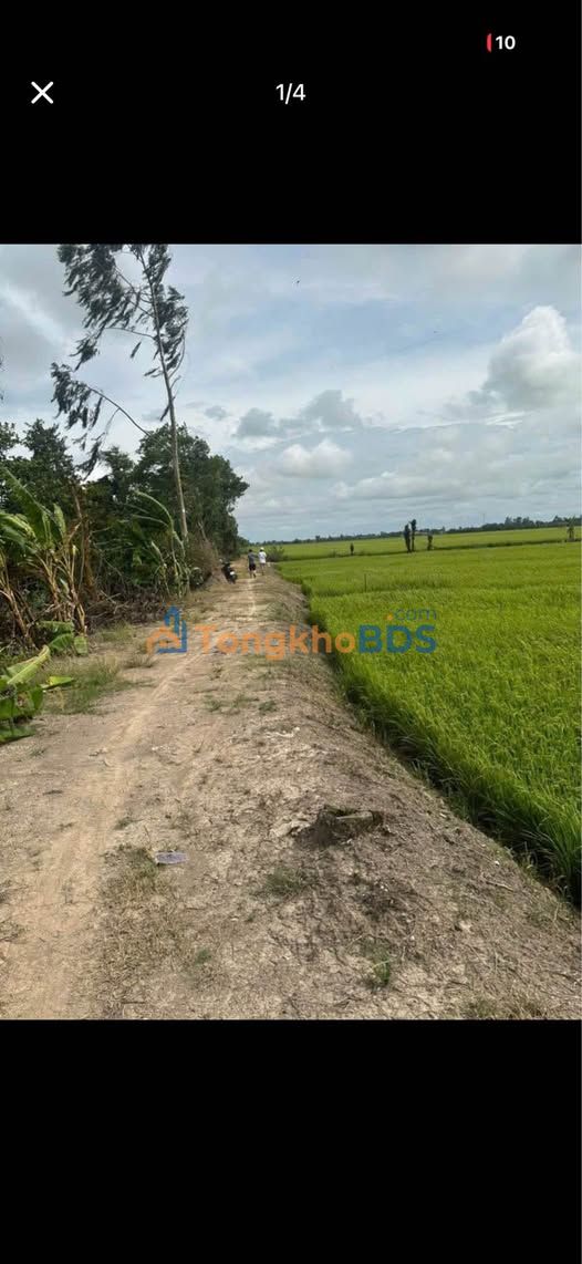 Đất ruộng Phú Thuận Thoại Sơn 7.651m² 1,14765 tỷ - Đầu tư