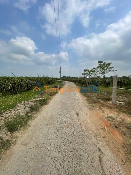 Đất thổ cư Bình Lâm 200m² 400-499 triệu - Sổ đỏ chính chủ