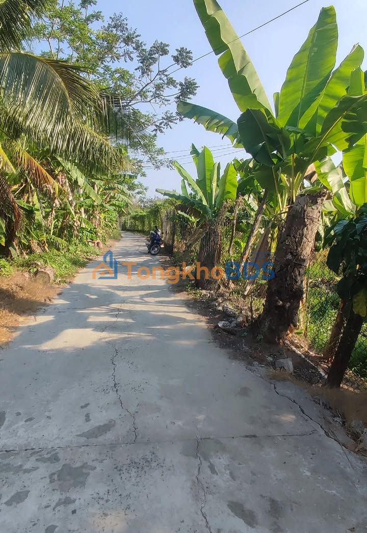 Đất nền Trương Vĩnh Nguyên, Cần Thơ 1.356m² 1.4 tỷ - Đường to ô tô