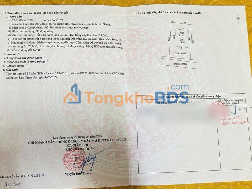 Đất nền Bãi Dài Cẩm Hòa 240m² 0,7 tỷ - Đường to ô tô