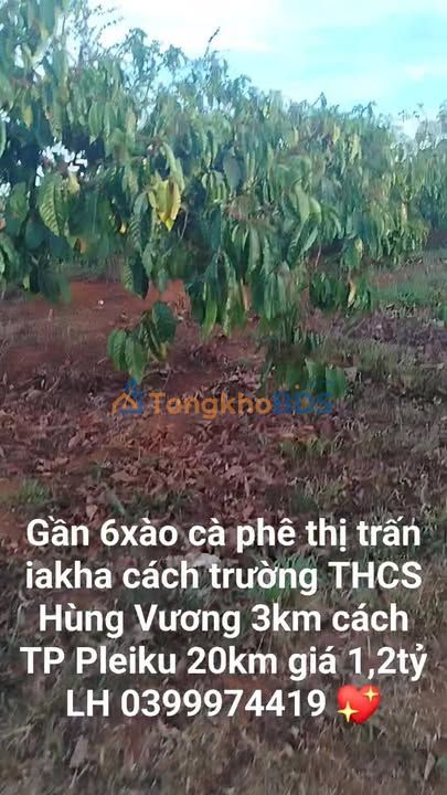 Đất vườn Ia Kha 2052m² giá 1,2 tỷ - Đầu tư dài hạn