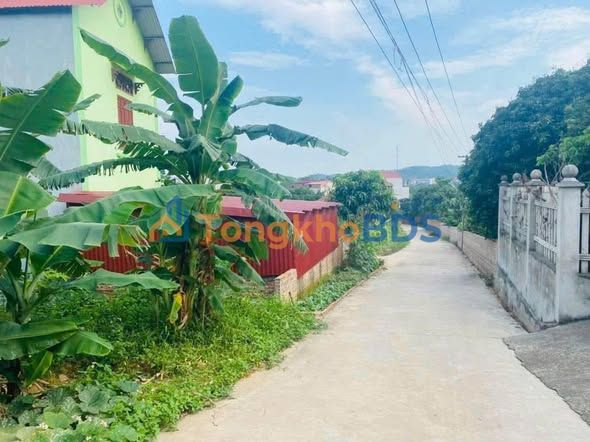 Đất nền Tân An Bắc Giang 101m² giá 700 triệu - Đường ô tô