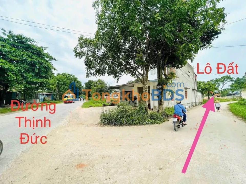 Đất nền Tân Tân Green Home Phổ Yên 958m² - Đường to ô tô