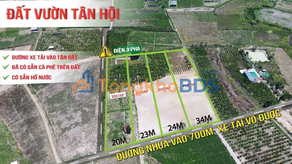 Đất farm Tân Thông Hội 1260m² 1.86-2.48 tỷ - Sổ đỏ chính chủ
