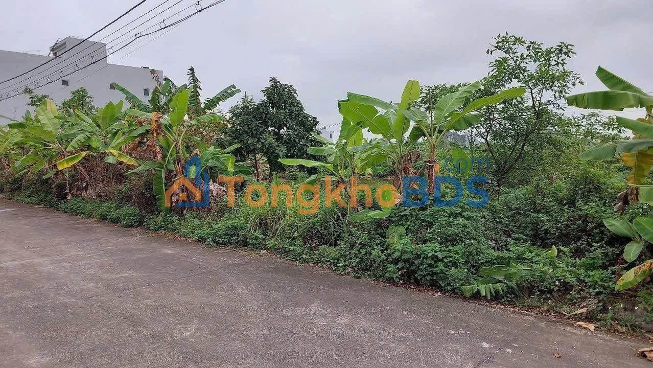 Đất phân lô Ngõ 45 Lê Thái Tổ 120m² giá 5,1 tỷ - Sổ đỏ chính chủ