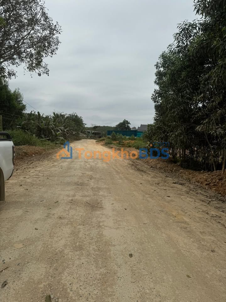 Đất nền Cát Vân Như Xuân 204m² 3xx triệu - Đường to ô tô