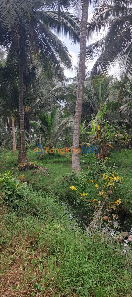 Đất nền An Khương 462m2 giá 400tr - Pháp lý rõ ràng