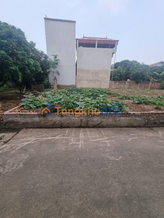 Đất nền Đông Ngàn Từ Sơn 64m2 2 tỷ - Sổ đỏ chính chủ