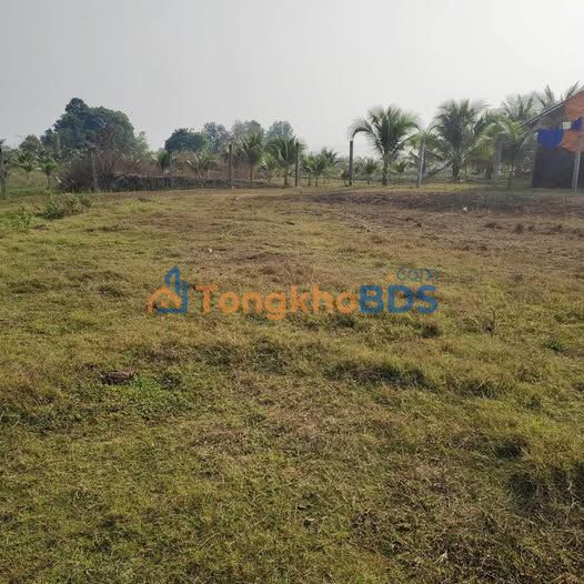 Đất nền Trà Giang Lương Sơn 3.300m² 490 triệu - Đường ô tô bao quanh