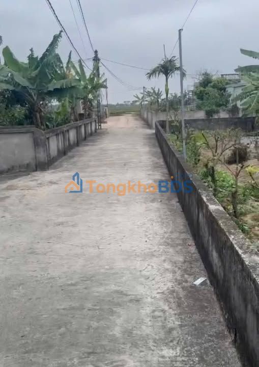 Đất nền Đông Trà Tiền Hải 76m² 0,4-0,499 tỷ - Đất thổ cư 100%