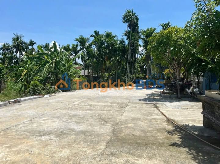 Farm Nghĩa Thuận Tư Nghĩa 3.240m² 2 tỷ - Nghỉ dưỡng lý tưởng