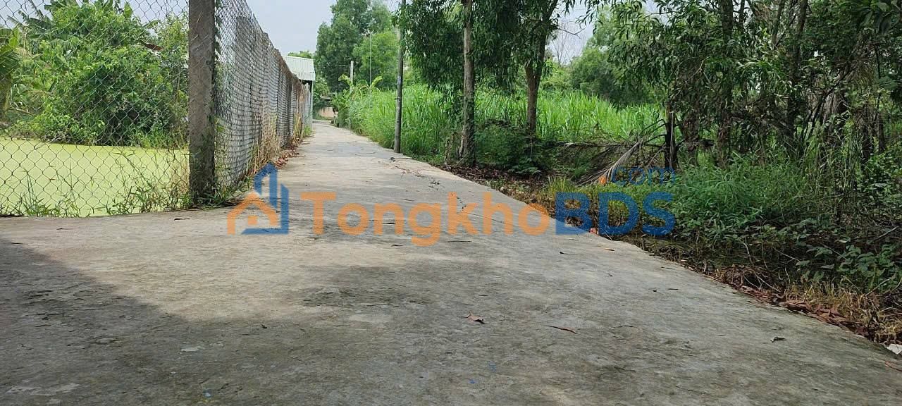 Đất nền Bình Chánh 1493m² 11 tỷ - Sổ hồng rõ ràng