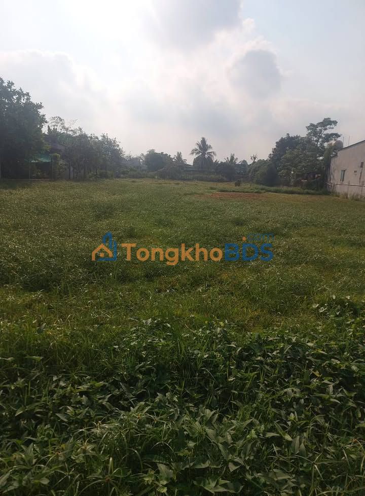 Đất nền Khu phố An Đước Trảng Bàng 1500m² - Sổ đỏ chính chủ