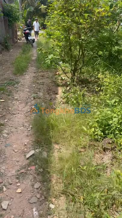 Đất nền Tân Phú Trung 141m² 800tr - Tiềm năng tăng giá