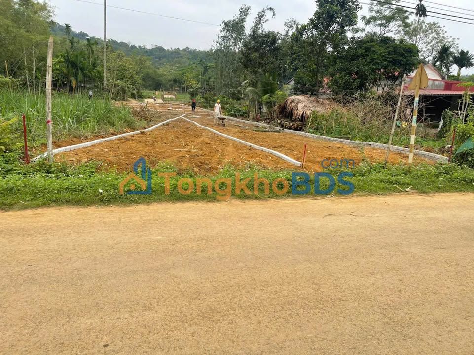 Đất nền Ngọc Lặc 100m² 1xx tỷ - Sổ đỏ chính chủ