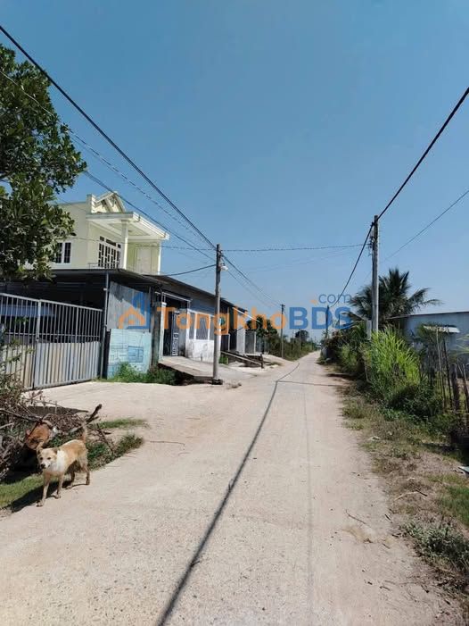 Đất nền Long Bình 2 1.300m² 600 triệu - Đường to ô tô