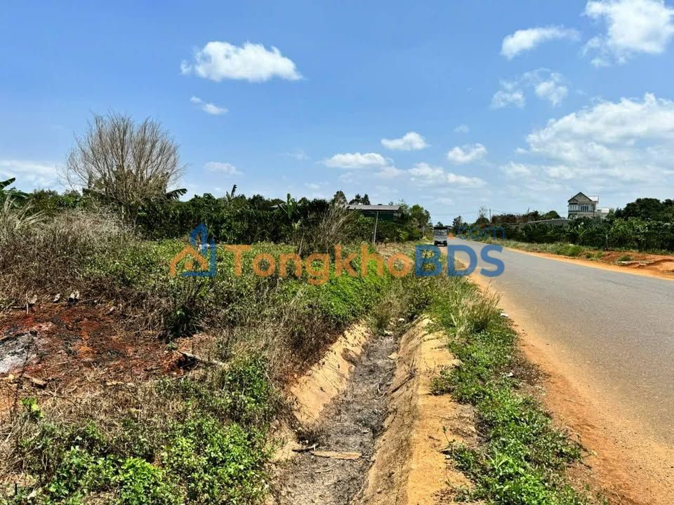 Đất nền Bảo Lộc 794m² giá 4.5 tỷ - Sổ đỏ chính chủ