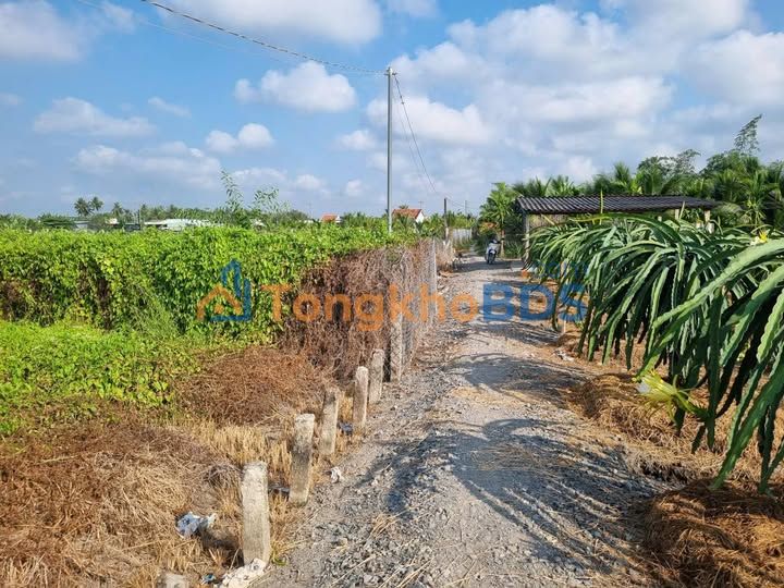 Đất Tầm Vu Long An 130m² 299tr - Tiềm năng tăng giá