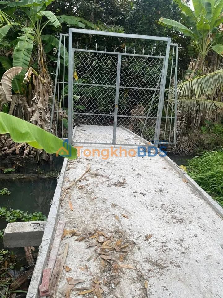 Đất nền Huỳnh Thị Tôn Cai Lậy 127m² 435tr - Sổ đỏ chính chủ