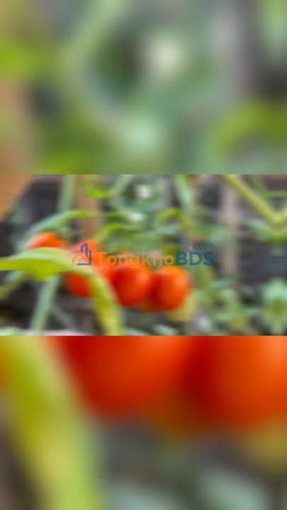 Đất nền Bảo Vinh 1.000m² 1,75 tỷ - Sổ đỏ chính chủ