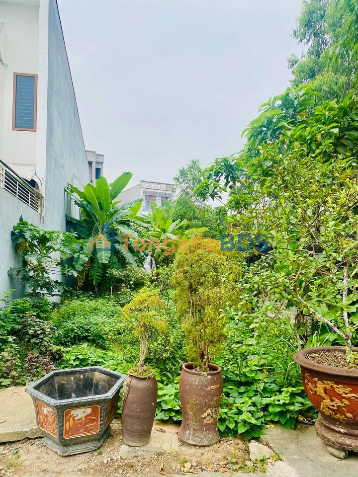 Đất nền Tích Sơn Vĩnh Yên 142m² 3,6 tỷ - Hạ tầng hoàn thiện