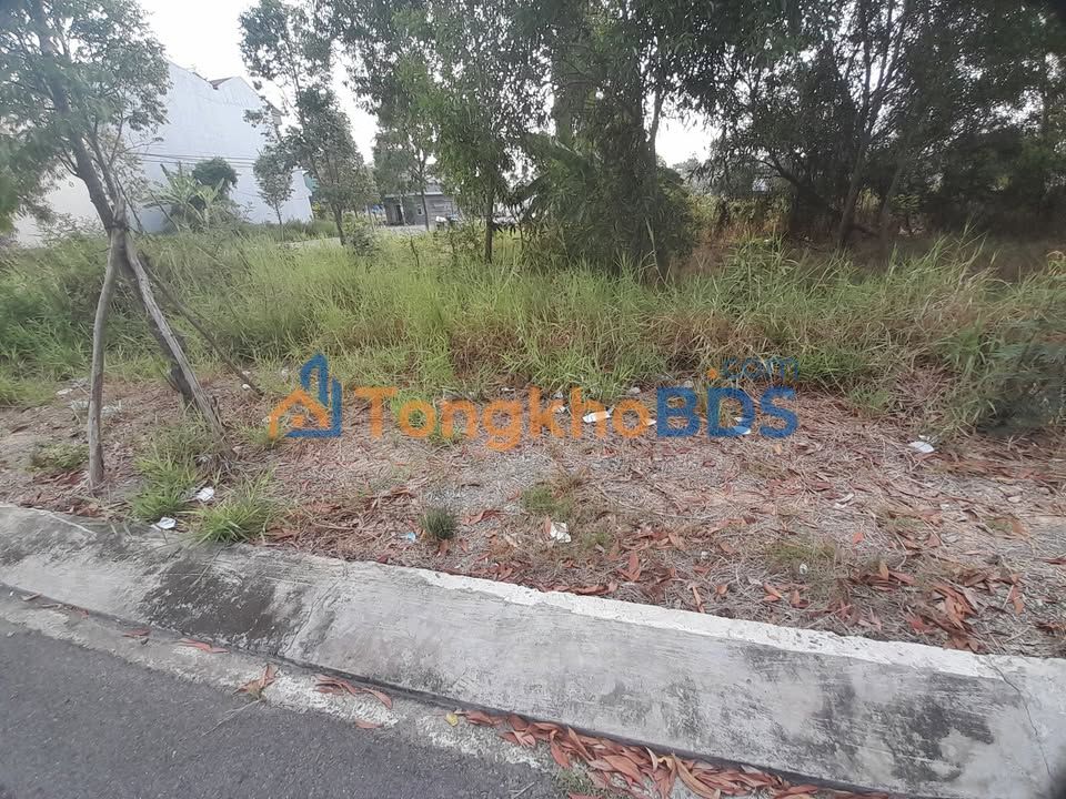 Đất nền Phường 3 Kiến Tường 200m² 2.4 tỷ - Sổ đỏ chính chủ